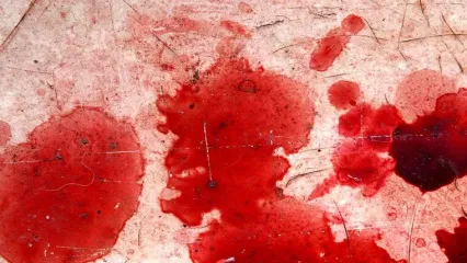 قتل خونین جوان کرجی بخاطر تنه به تنه شدن با قاتل + جزییات