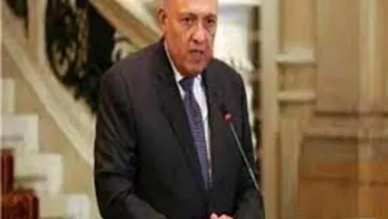 وزیر خارجه مصر عازم ایران شد