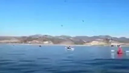 فیلم وحشتناک از بلعیده شدن چند لحظه ای دو قایقران توسط نهنگ