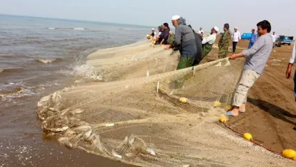 واگذاری بندر ماهیگیری کیاشهر به سازمان شیلات