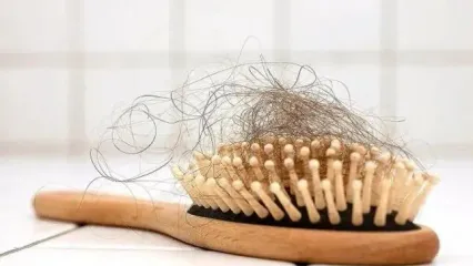 دمنوش‌های گیاهی توصیه شده برای جلوگیری از ریزش مو