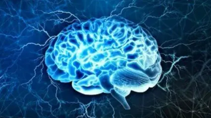 آیا مغز قابلیت تغییر دارد؟