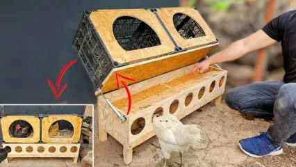 (ویدئو) نحوه ساخت لانه و دانخوری برای مرغ و خروس ها با قطعات چوبی