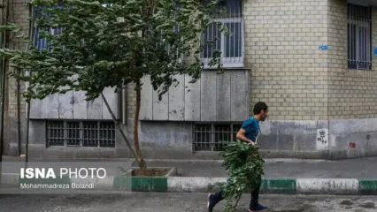هشدار به تهرانی ها | وزش باد شدید در راه تهران