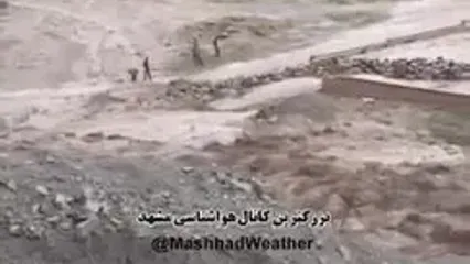 فیلم غرق شدن یک گله گوسفند در سیل مشهد