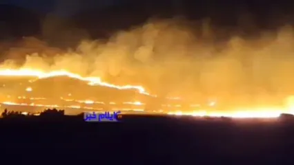 تصاویری از گستردگی آتش سوزی مزارع کشاورزی در بخش ماژین شهرستان دره شهر