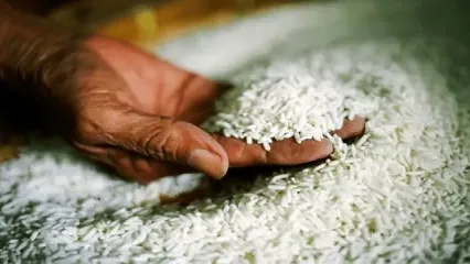 کاهش قیمت برنج هندی و پاکستانی