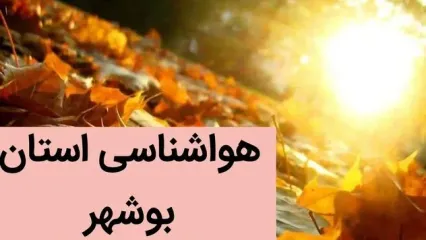 پیش بینی وضعیت آب و هوا بوشهر فردا جمعه ۲ آذر ماه ۱۴۰۳ / بوشهری ها بخوانید