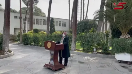 مهاجرانی در پاسخ به رکنا: دولت در چارچوب عزت و شرافت ایرانی پیش می رود