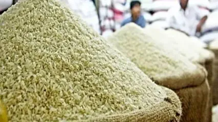 قیمت برنج در بازارهای میوه و تره‌بار اعلام شد