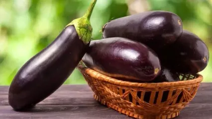 افشاگری علمی درباره بادمجان: چرا پوست آن را نباید جدا کنیم؟