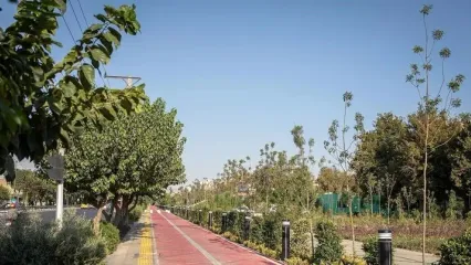 بررسی آخرین وضعیت احداث باغ‌راه حضرت زهرا/ دستور زاکانی برای رفع گلوگاه‌های اجرایی پروژه‌های بزرگ‌مقیاس پایتخت
