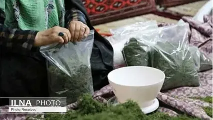 صادرات مشاغل خانگی مازندران ۱۰۰ میلیون دلار در سال است