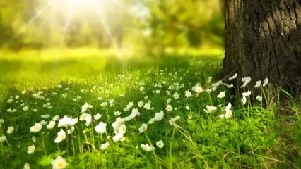تفال به حافظ شنبه ۲7 اردیبهشت ۱۴۰۴؛ ای صبا گر بگذری بر ساحل رود ارس......