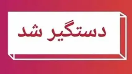 دستگیری عاملان حمایت از اسرائیل و تحریک به اغتشاش