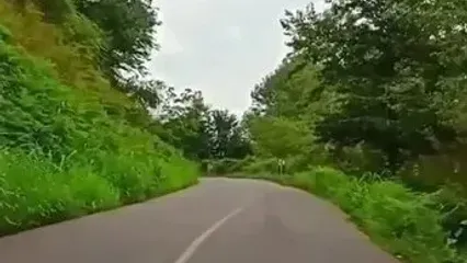 طبیعت تماشاییِ رانکوه درگیلان