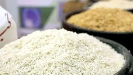 آغاز فروش برنج تنظیم بازاری | برنج ۵۰ هزار تومانی را از کجا بخریم؟