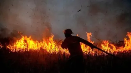 گرمای شدید در اروپا؛ صدها نفر از جزیره‌ای در یونان تخلیه شدند
