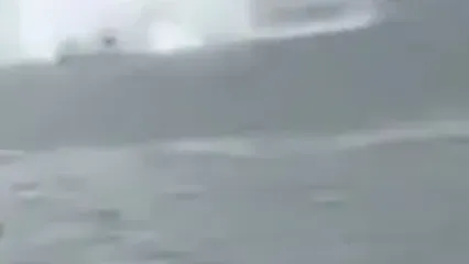 ببینید؛ لحظه سقوط بالگرد پلیس در مالزی