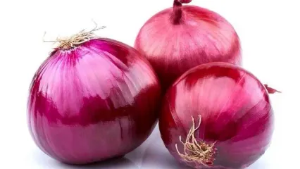 این نوع پیاز 8 برابر آنتی‌اکسیدان بیشتر دارد!