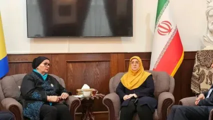 دیدار سخنگوی دولت ایران با وزیر خارجه پیشین بوسنی