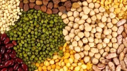 خواص شگفت انگیز نخود و لوبیای سیاه
