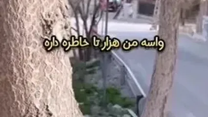 این خانه در زعفرانیه تهران، خانه داریوش اقبالی بوده است