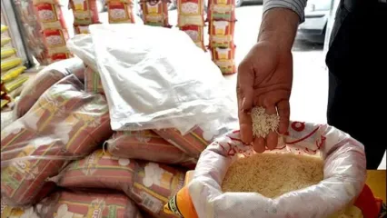 برنج هم از سفره مردم پر کشید؛ پرواز قیمت برنج در بازار!