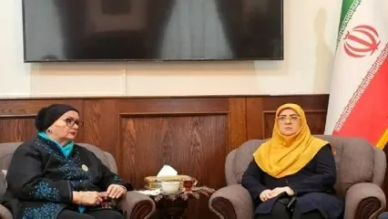 دیدار سخنگوی دولت ایران با وزیر خارجه پیشین بوسنی