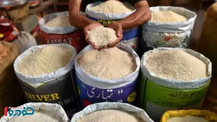 برنج وارداتی با ارز ۱۰۷ هزار تومانی به کشور وارد شد