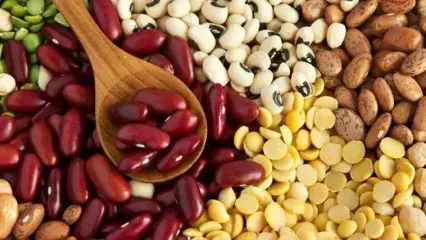 پاسخ‌های علمی درست به یک باور؛ مصرف حبوبات فشار خون را بالا می‌برد؟