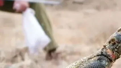 نسل زد آخرین شاهد طبیعت ایران