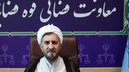 ۷۰ درصد محکومین امنیتی مشمول عفو می‌شوند/ شلاق تعزیری به طور کامل مشمول عفو شده است/ مجازات محکومین به اعدام فقط می‌تواند به حبس ابد تبدیل شود