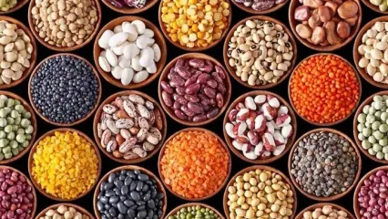 حبوبات ۳۵ درصد گران شد/ جزئیات قیمت لوبیا، عدس و نخود اعلام شد