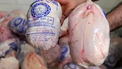 جدول قیمت روز مرغ؛ ۲۸ مهر ۱۴۰۴