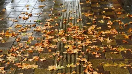 پاییز عجیب امسال در ایران