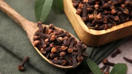 توصیه به مردان: میخک بخورید تا از مشکلات پروستات در امان باشید