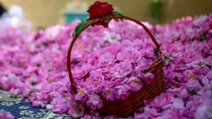 داده‌های گمرک نشان داد؛عربستان و ترکیه این محصول ایران را به نام خود زدند