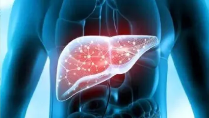 اگر کبد چرب دارید بخوانید / راهکار موثر برای بهبود