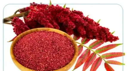 سماق گیاهی ضد درد و اضطراب