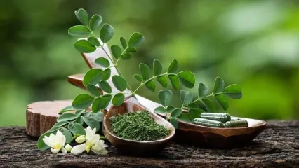 این گیاه پرخاصیت، قاتل قند خون و کلسترول است