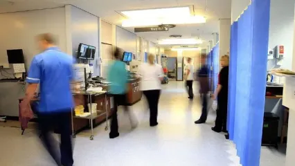 نبود مترجم باعث مرگ ۴۸ کودک شد!