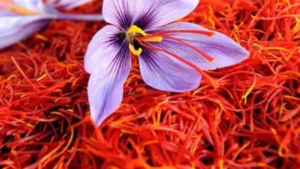 اتفاقی که بعد از اضافه کردن زعفران به غذا برای ما می‌افتد