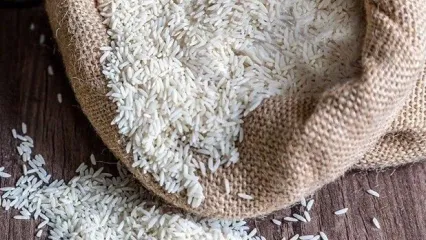 تغییرات قیمت برنج در بازار | لیست قیمت انواع برنج پاکستانی