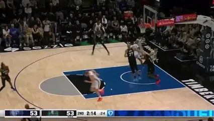 ویدئو: خلاصه بسکتبال مینه سوتا تیمبرولوز 110 - ممفیس گریزلیز 116