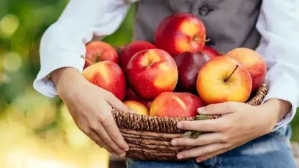 سیب: راز مقابله با ضعف و سستی ناشی از افزایش سن!