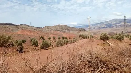 زمین‌خواری ۳۰ هزار متری در غرب تهران فاش شد