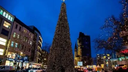 این درخت بلندترین درخت کریسمس در جهان شد + فیلم