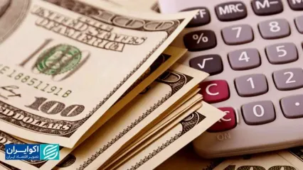 همه می‌خواستند با ارز یارانه‌ای واردکننده شوند