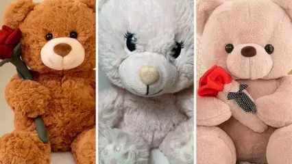 معنی خرس عروسکی  ولننتاین چیه + دلایل محبوبیت آن